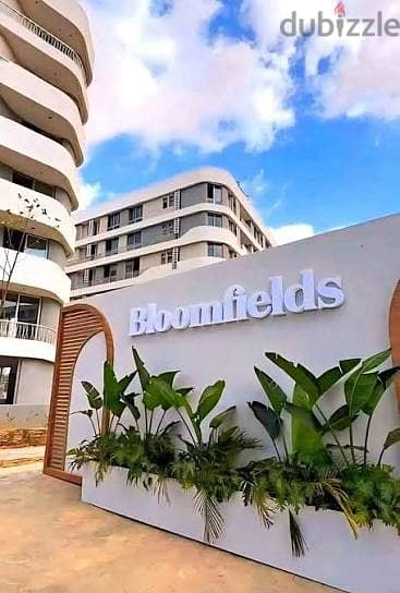 Apartment in bloomfields
