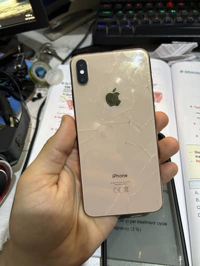 iPhone XS Max 256