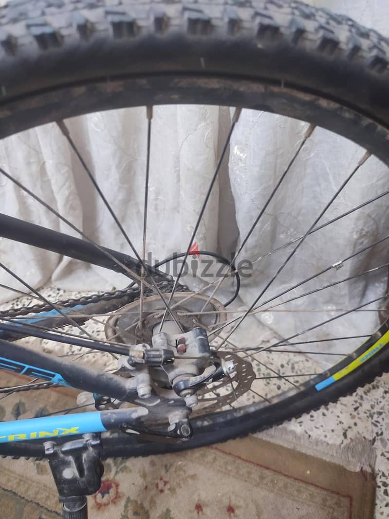 trinx m136 5