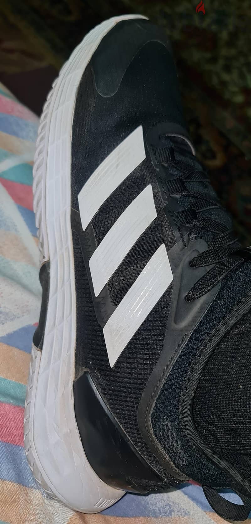 adidad adizero 6