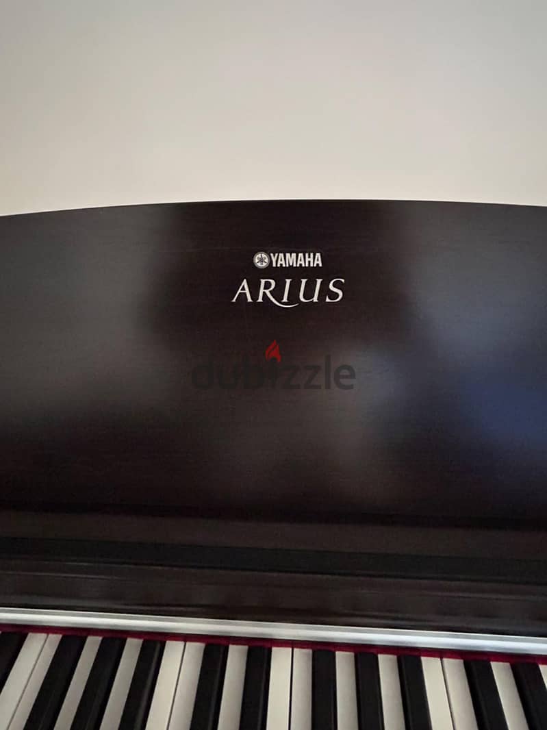 Yamaha Arius 3