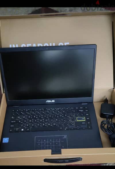 ASUS E410MA-BV001W/ZORIN LINUX OS