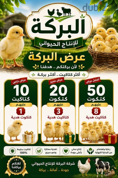 البركة للإنتاج الحيواني