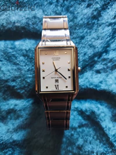 Citizen watch