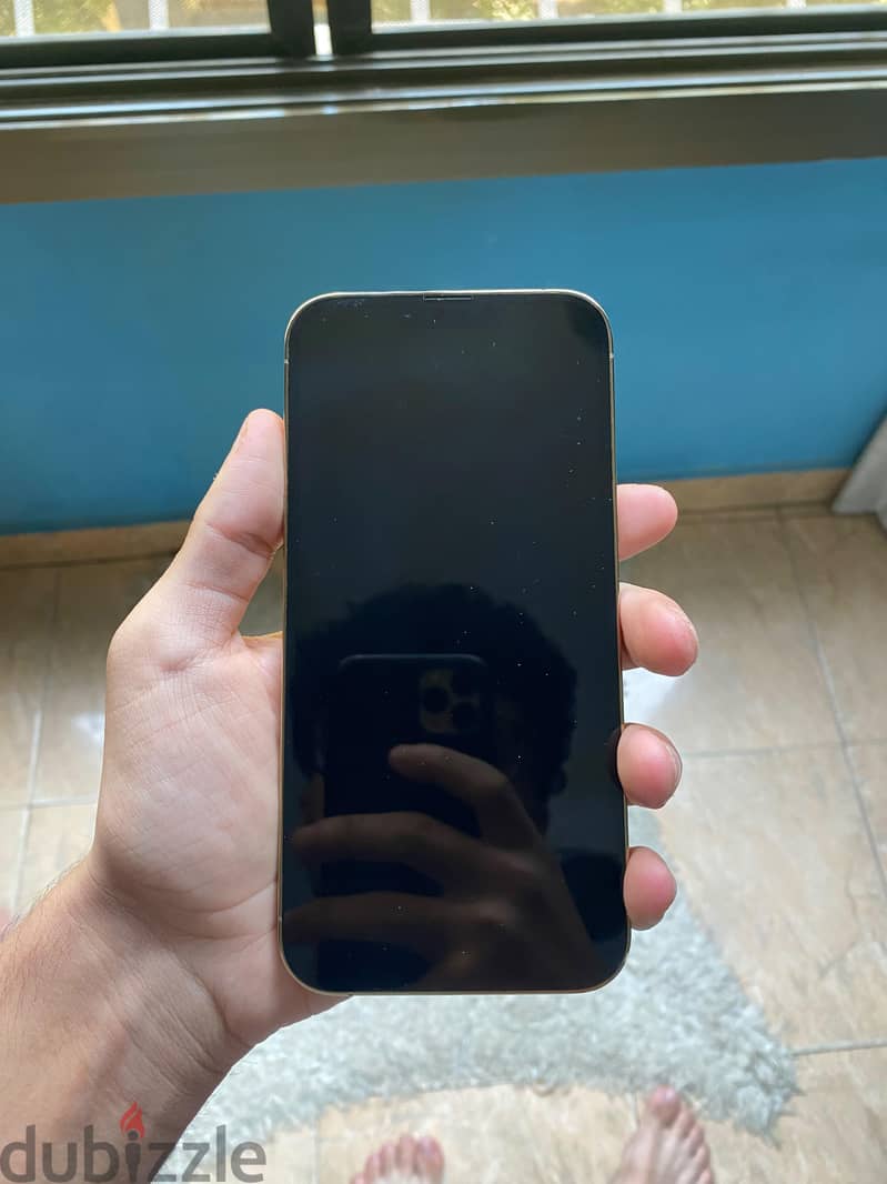 iphone 13 pro max 3