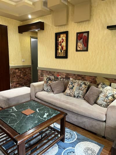 Furnished apartment on the ground floor in the future