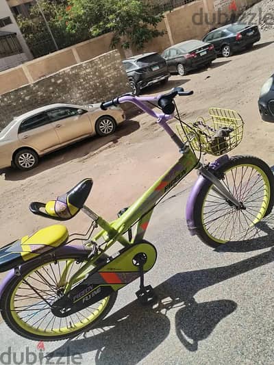 الزقازيق
