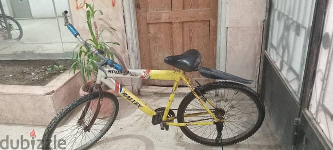 Rallex sport mountain bike
