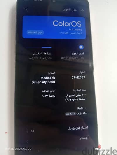 اوبو رينو 12