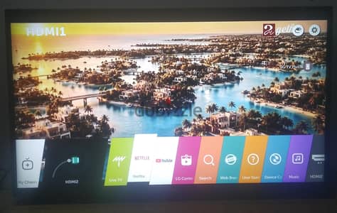 LG43SMART