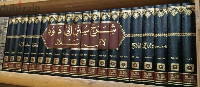 شرح سنن أبي داود لابن رسلان