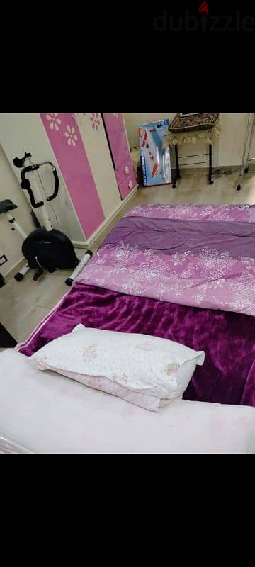 ترام فلمنج
