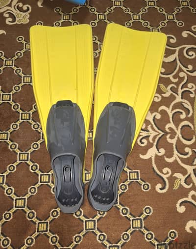 زعانف كليو ٤٥ ٤٦