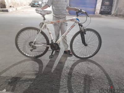 دراجه فينيكس سرعات
