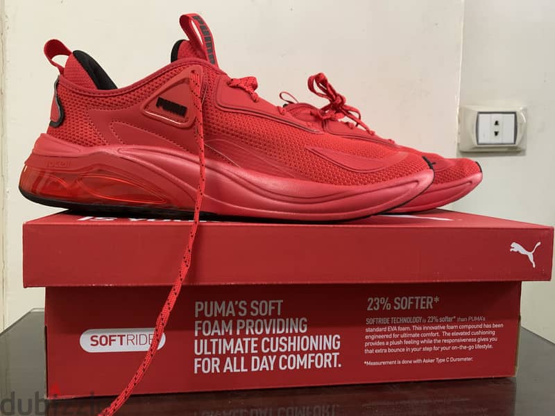 Original puma 1