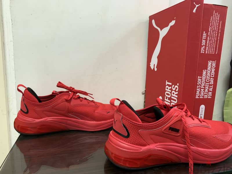 Original puma 2