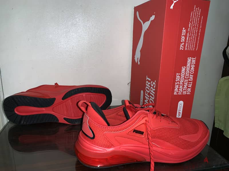 Original puma 4