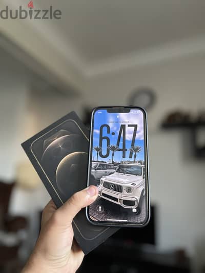 iPhone 12 Pro Max 256