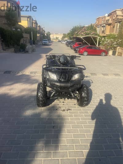 بش بجي كيوي جمبو