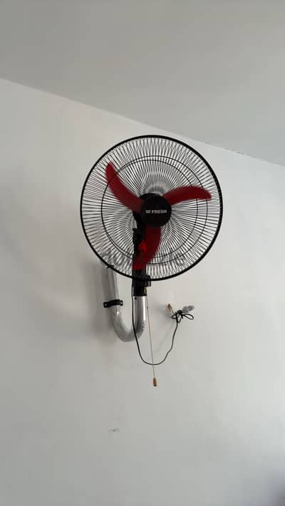 Fresh fans 18 inch
