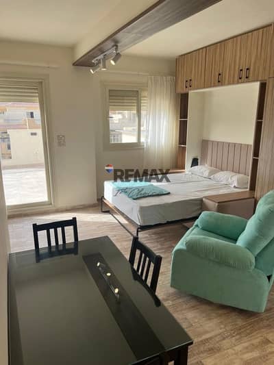 Furnished Studio in Stone Residence