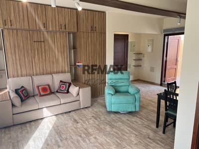 Furnished Studio in Stone Residence
