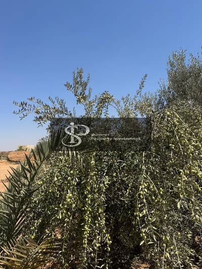 مزرعة للبيع مدخل العاشر من رمضان غرب حي 28 و 29 مساحة 10500 متر