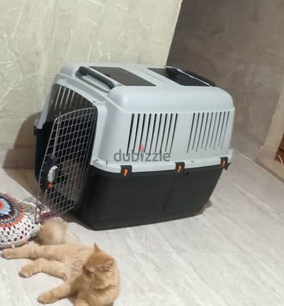 pet carrier