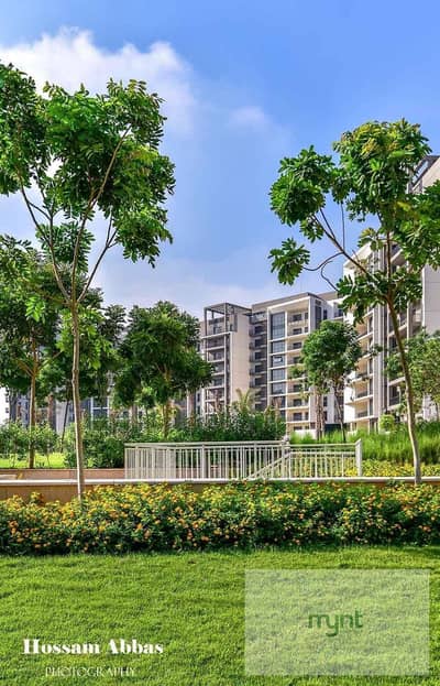 fully Furnished Studio for rent in Zed West ZED West Sheikh Zayed | Mynt Hospitality
