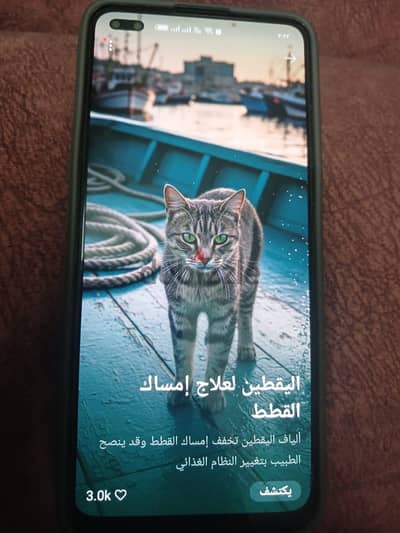 اوبو رينو 4