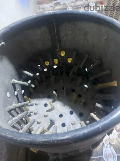 رياشه تنضيف طيور