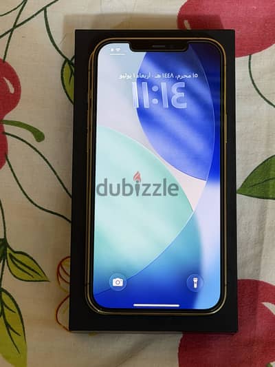Apple - iPhone 12 Pro Max