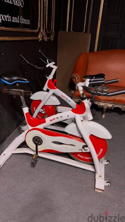 Indoor Cycling Spin Bike SP3.0