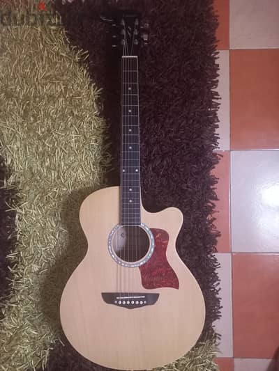 casme acoustic guitar