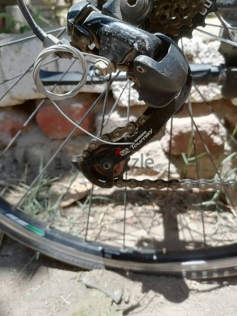 trinx r300 6