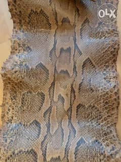 snake leather جلد ثعبان 0