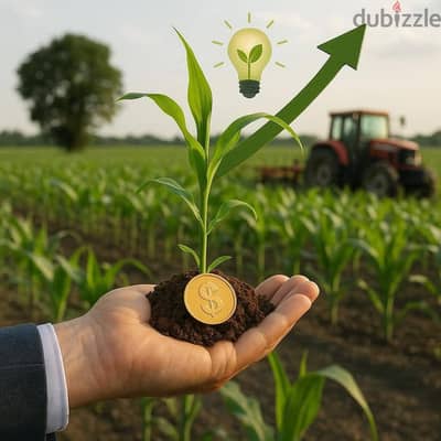 مزرعه للبيع 13 فدان ملك مسجل