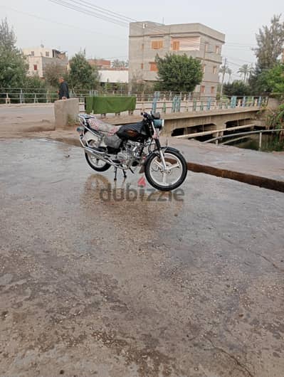 موتسكل هوجين