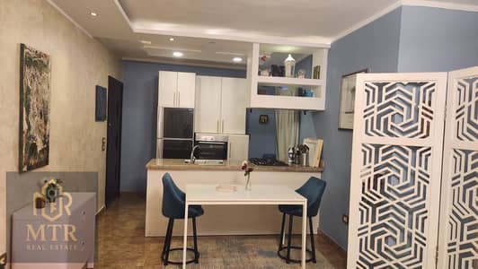 Fully Furnished Ground Floor Apartment with Private Garden for Rent in Madinaty B7