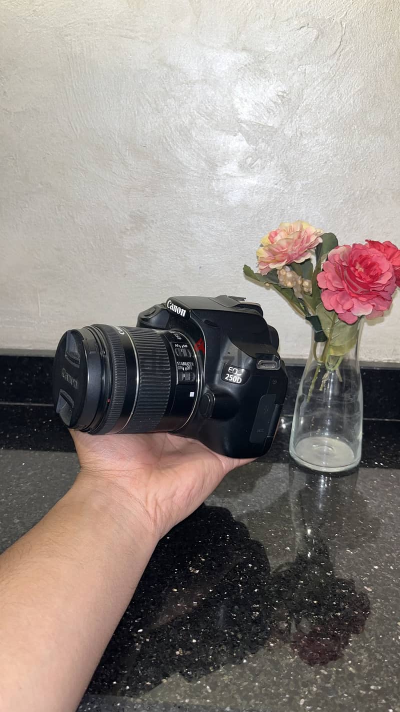 للبيع Canon EOS 250D 1