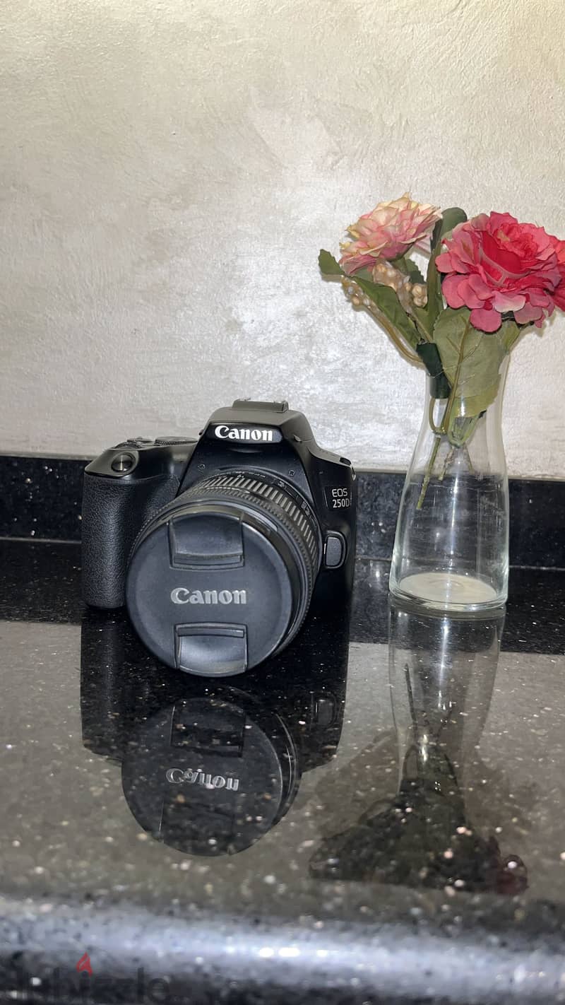 للبيع Canon EOS 250D 2