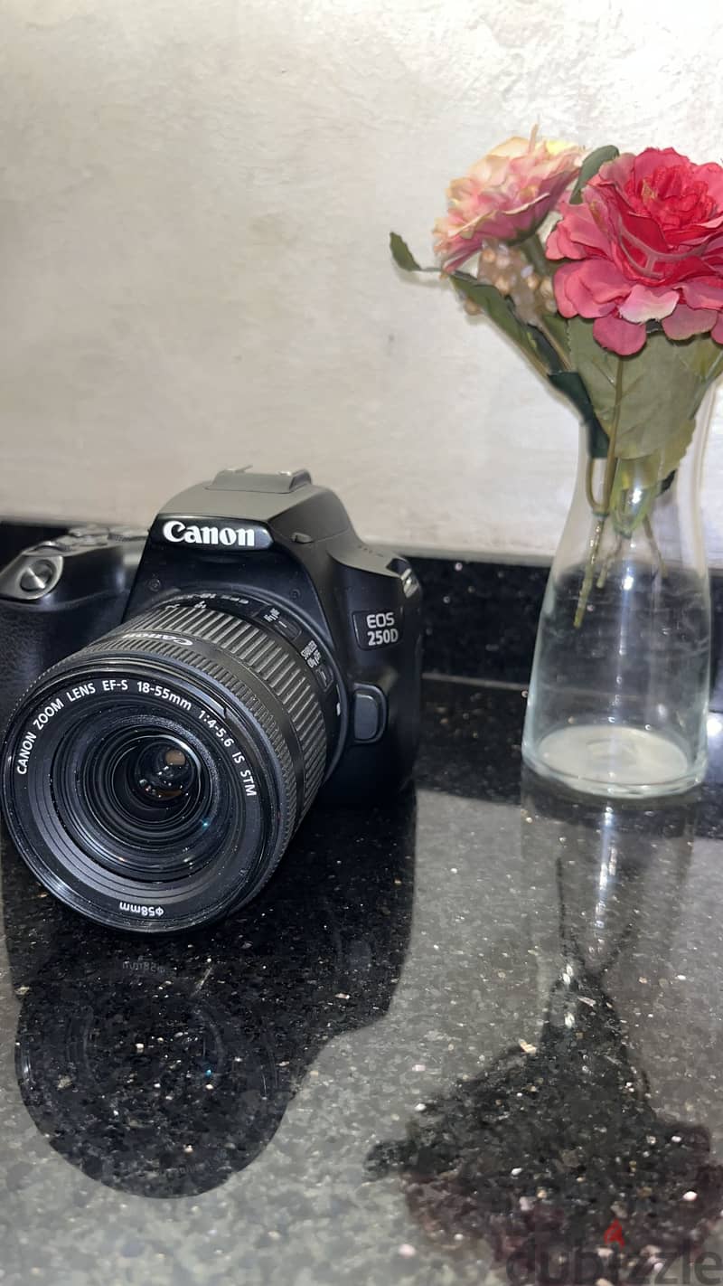 للبيع Canon EOS 250D 3