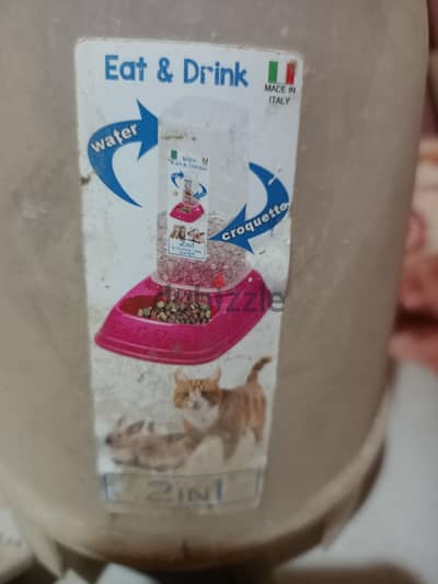 مستلزمات قطط