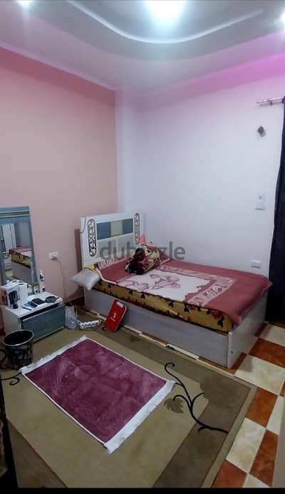 الغردقة البحر الأحمر