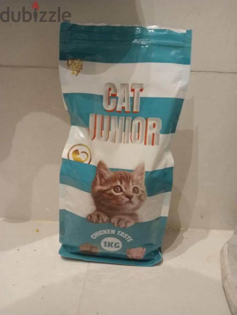 cat for selling 4