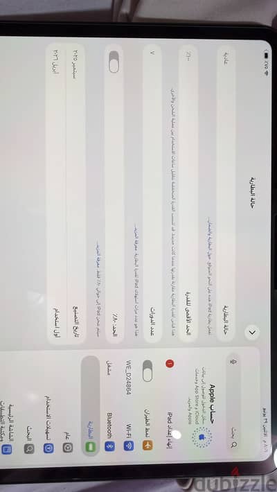 iPad m5