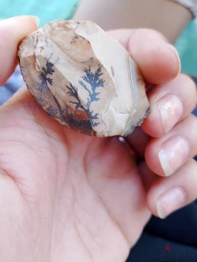 حجر عقيق شجيري نادر Dendritic Agate - رسمة شجرة طبيعية