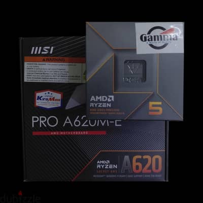 AMD Ryzen 5 8500g, MSI Pro A620M-E