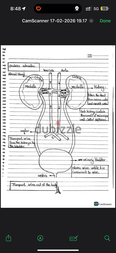 Biology and science teacher