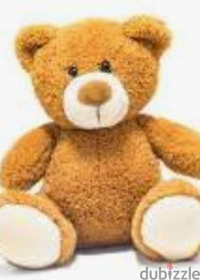 Teddy bear for sale